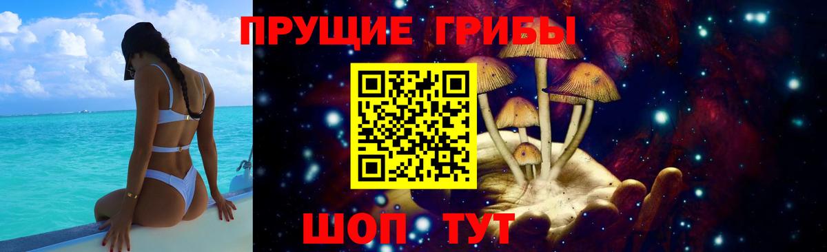 Псилоцибиновые грибы Magic Shrooms Бор